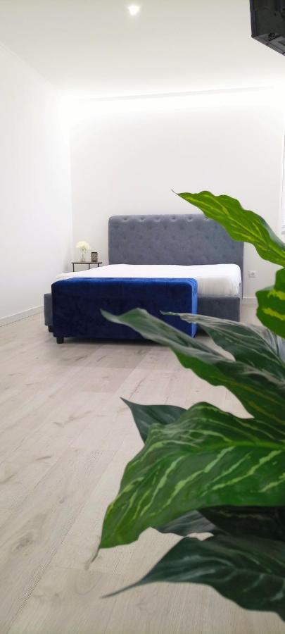 Casa Incrivel Refugio Lieva ,Piscina , Jacuzzi Exterior E Zona Kids Leilighet Nelas Eksteriør bilde